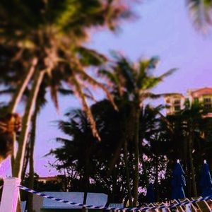 Meet your Posher, Carolina